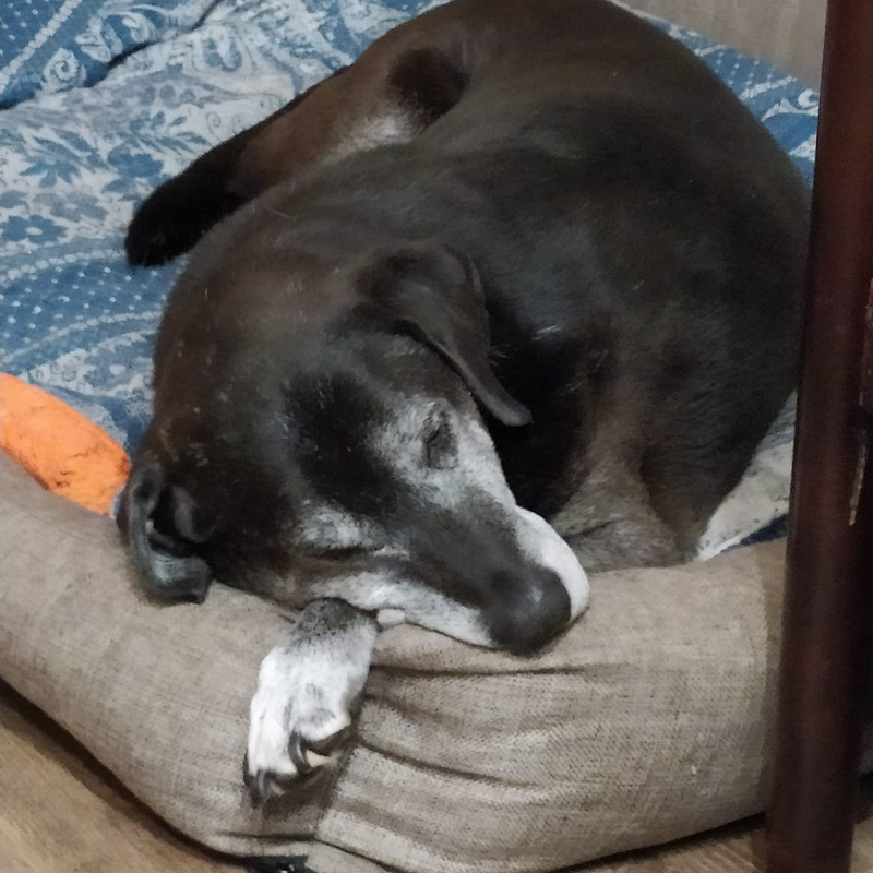 8BAFEA32-724A-407C-B875-429AA67B8EEA