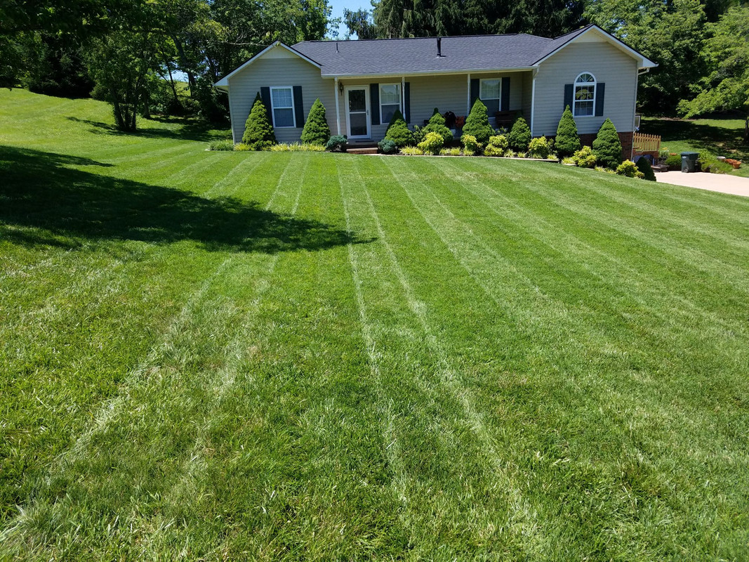 BB72B1BB-ED7E-41C3-A40A-0939FAF7A0F4