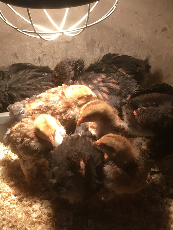 A57C5BA0-2A04-4562-A5C8-23813646A98A