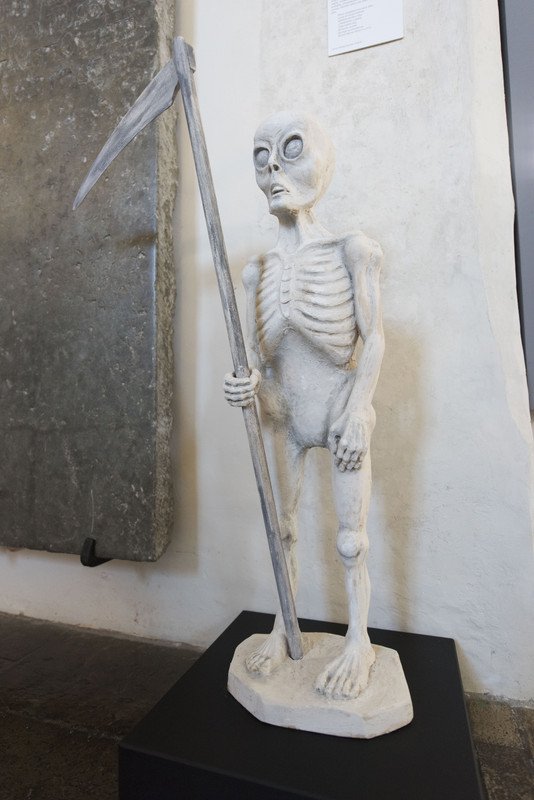 16.29 - NEW_9184 (Konfiturek)