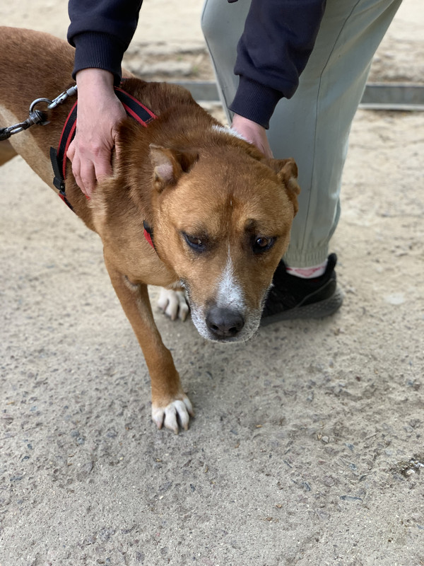 81CE1314-6981-4AF5-A37C-1BC9EF73BB15