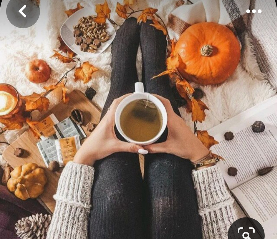 Screenshot_20230909_010455_Pinterest