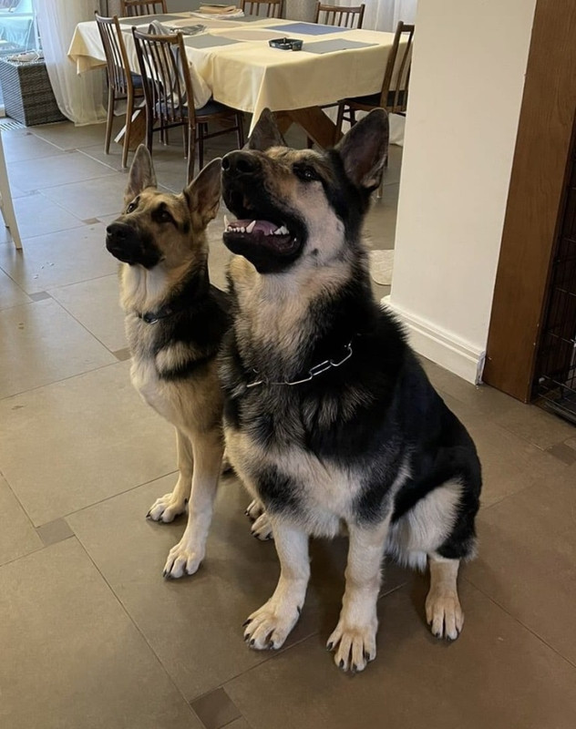 bGla5EXhc-dPJGurv9T6VFYQSqAlrcJKNmTDfuIiHO7Y85_cgUjqsK3UmDwl8UGlOIsZ1Rlolfw4NQjn3dG6ety1