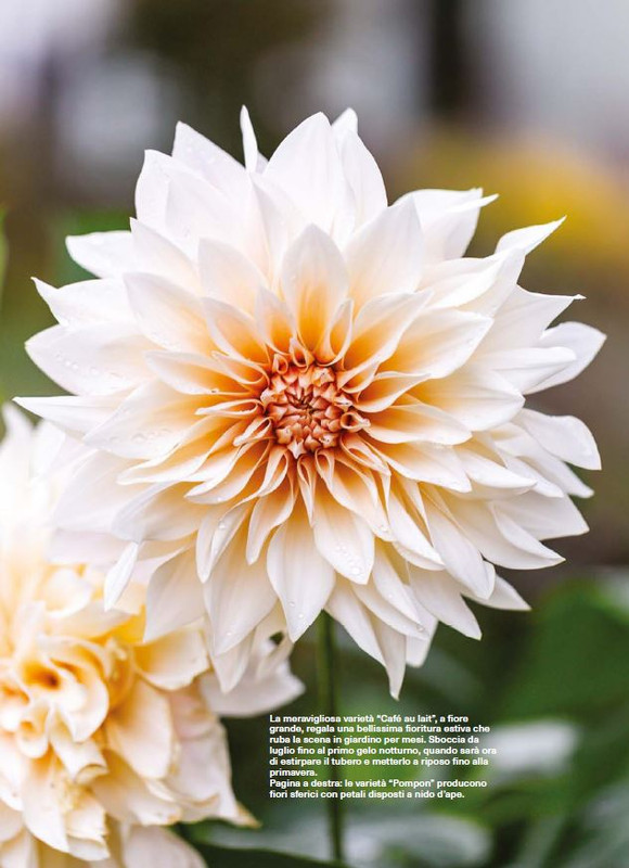 Il Mio Giar Ago-Set 2025 (7)