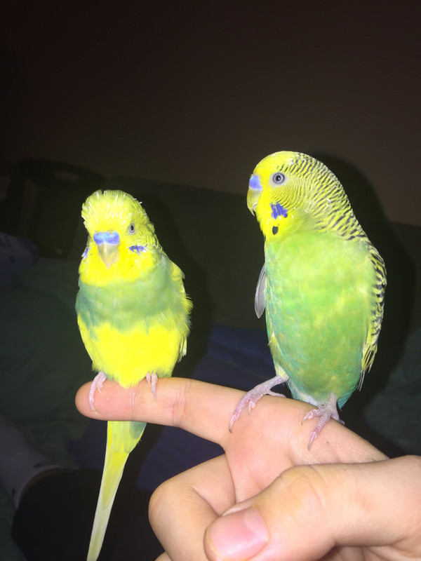 6E8CF00B-B72D-496E-9A23-E71350CA8492