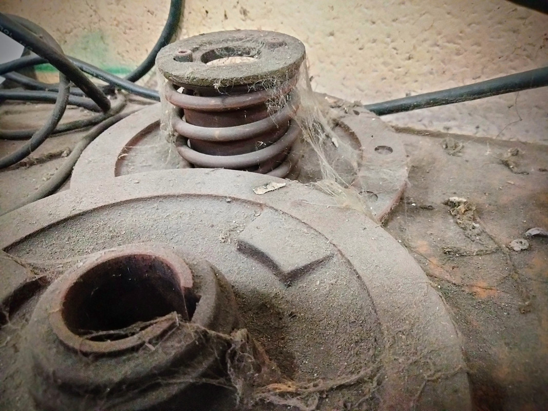 IMG_20220615_075625~2