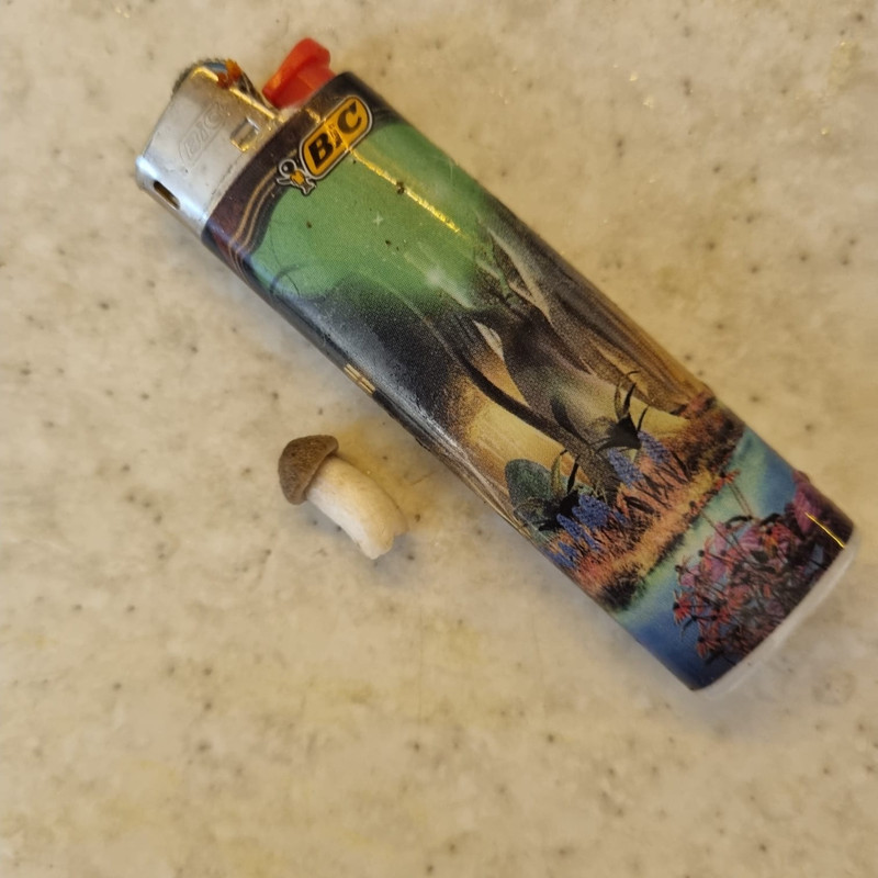 e7097628-c908-4055-95af-84fa0ab70392