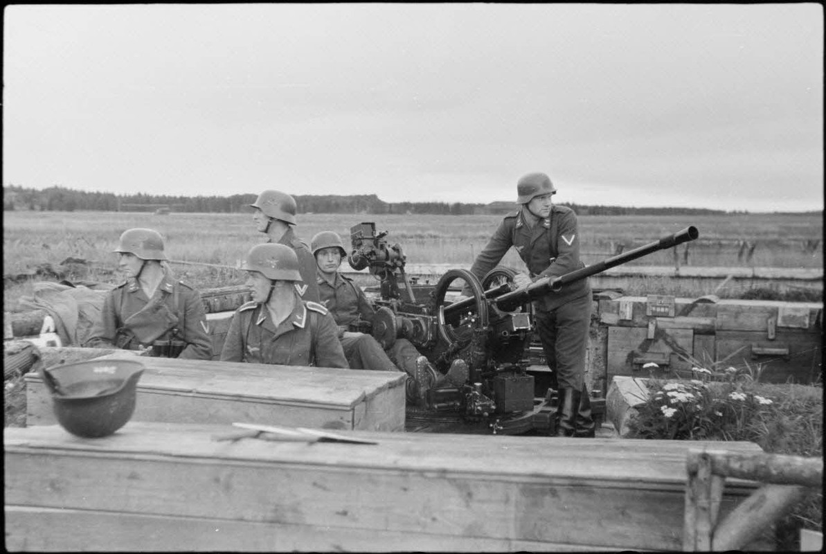 Lors d'une démonstration aéroportée du Luftlandegeschwader 1 (8.LLG 1) sur le terrain d'aviation de 