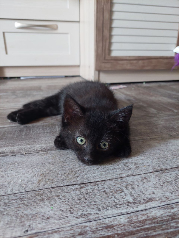 43C544C0-1012-46CD-ACFF-66B7F338C78C