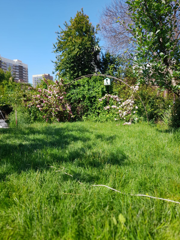 Изображение WhatsApp 2025-05-16 в 09.04.10_595a8c8f