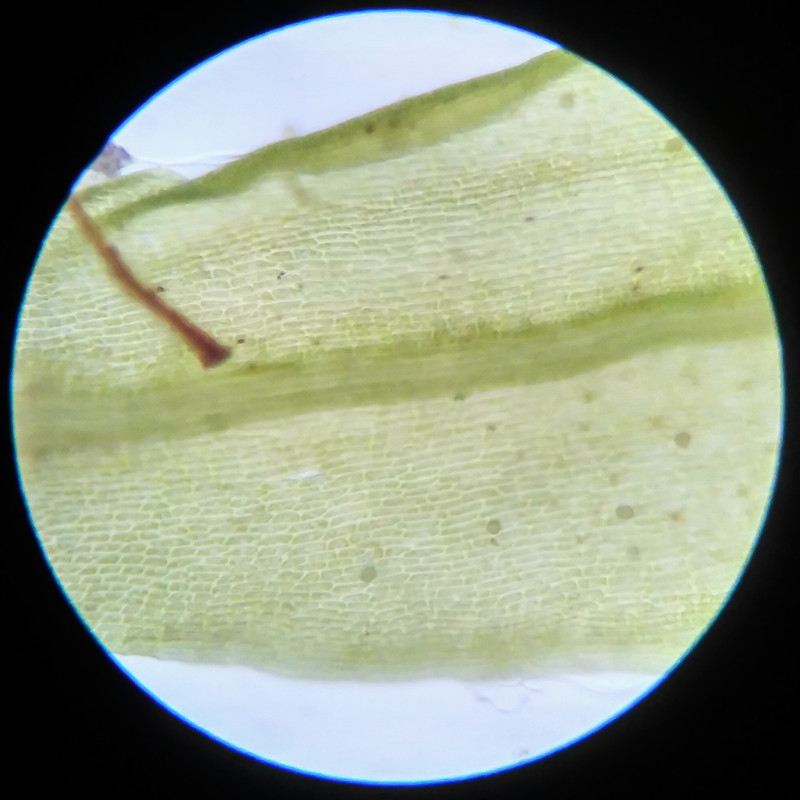 IMG 20250617 121637 HDR