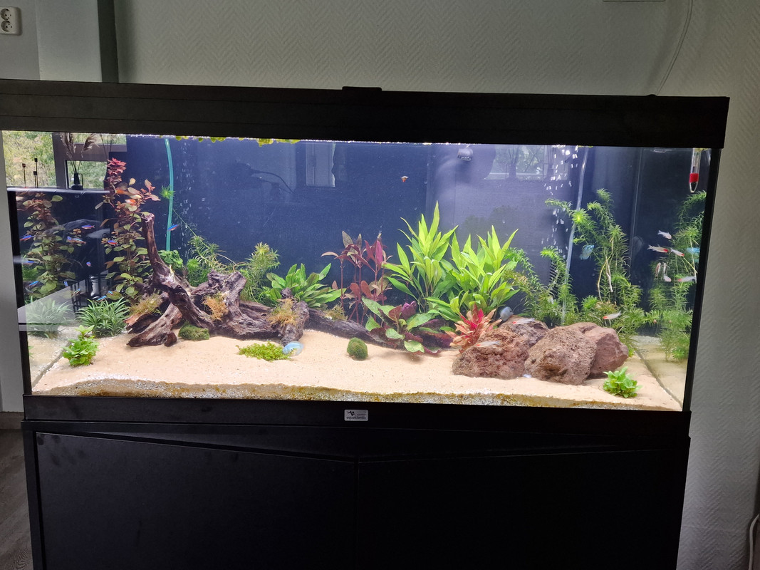 16653961324697402039546621578990