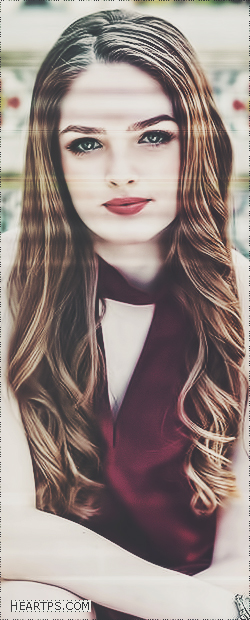 ���� ���� ������ �� ���� ������