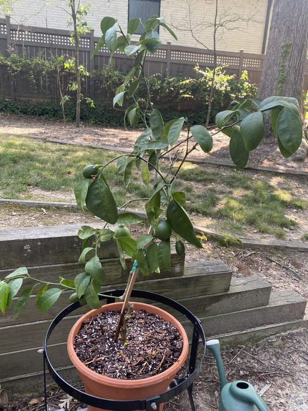 7722C595-021F-4EF5-B984-36CB8CE53B3A