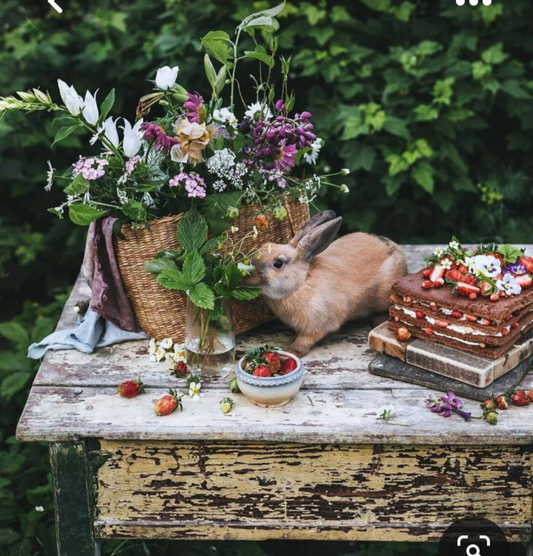 Screenshot_20230616_131942_Pinterest