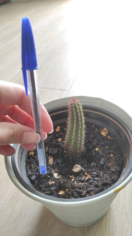 WhatsApp Image 2022-05-12 at 1.40.11 PM (2)