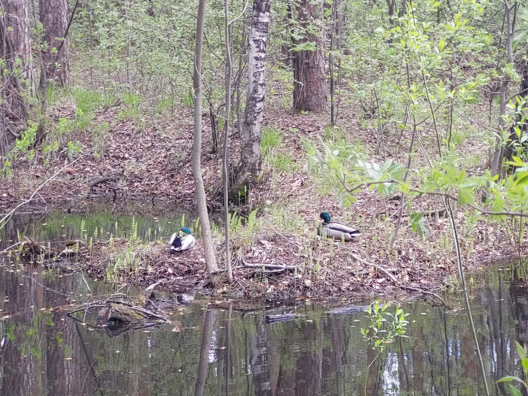 Изображение WhatsApp 2024-05-19 в 10.56.43_5f5a2fd1