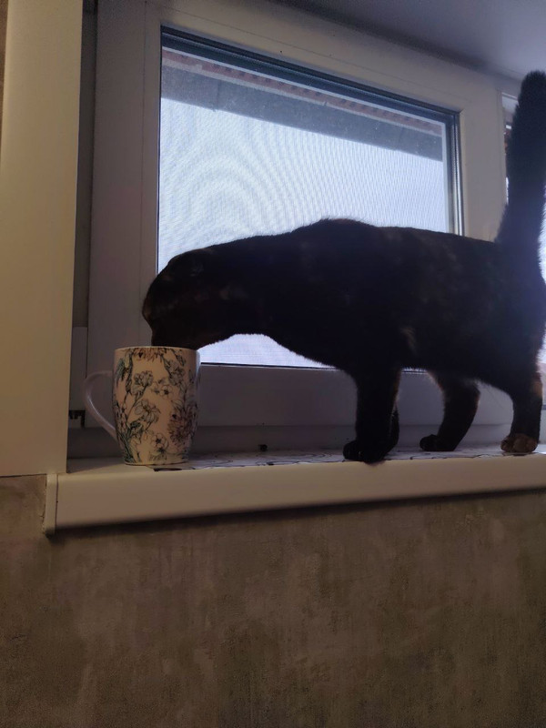 10 photo 2025 12 01 14 37 38 (2)