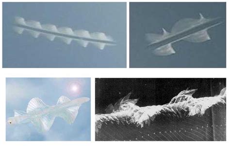 45460B04-3F3B-4FB6-A02C-8C5FEE69660D