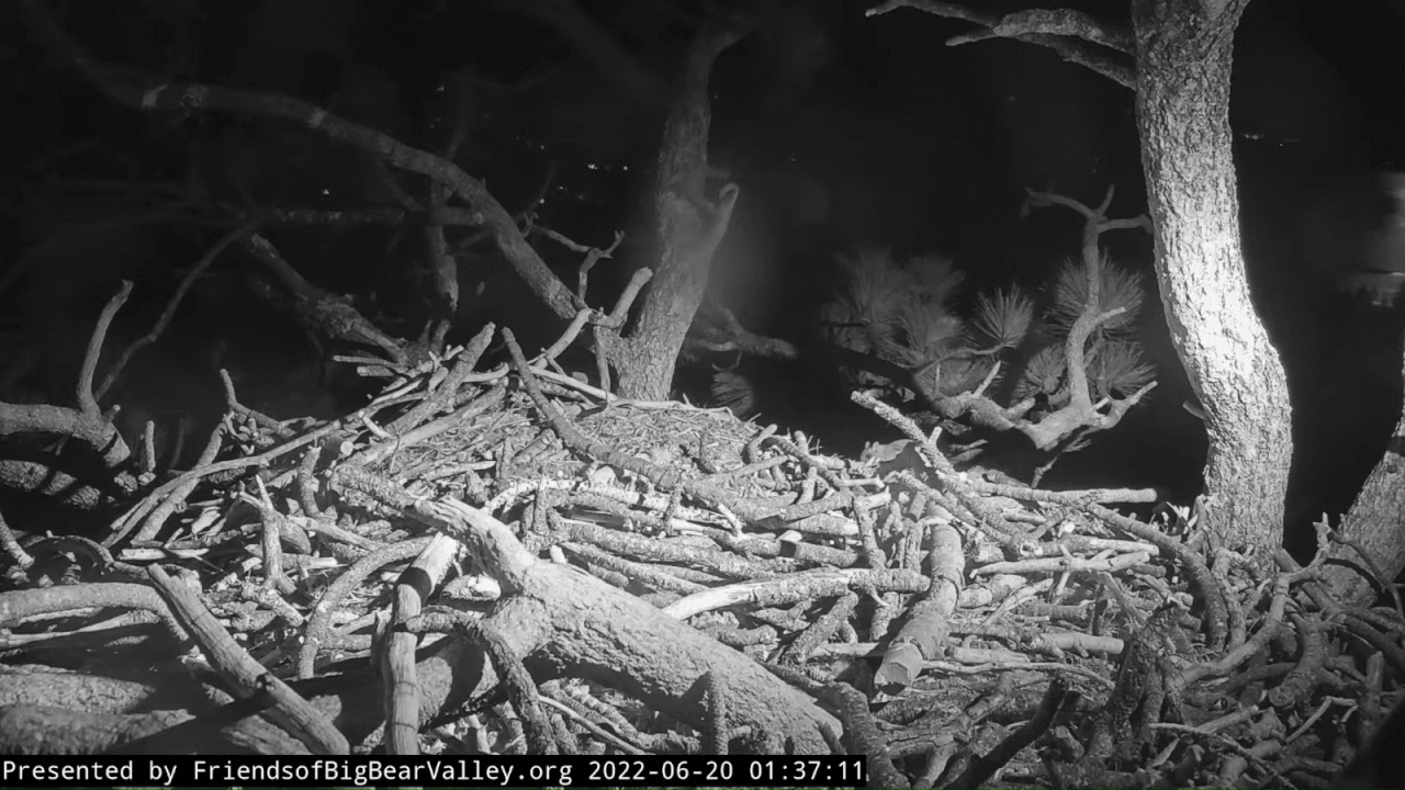 Webp.net-gifmaker (6)