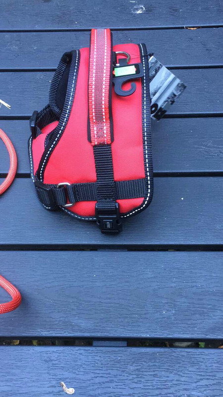 AF5DC559-115D-4F59-8350-AE986C708D11