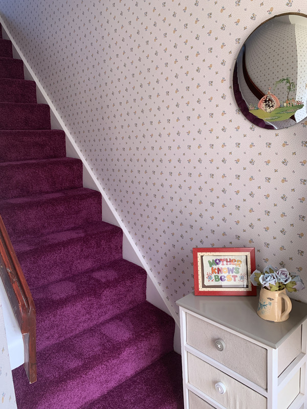 Stairs-with-new-carpet-04-09-25