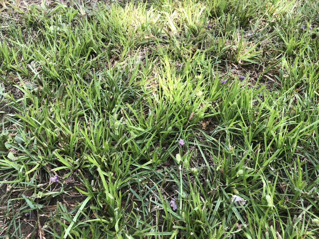 462F3727-102B-4A00-A8B4-B28EF1070131