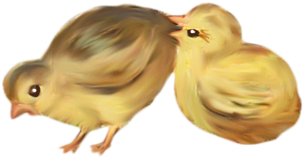 0_1c119b_35a565b8_orig