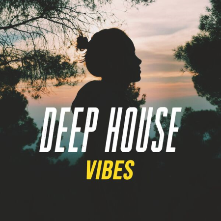 VA - Deep House Vibes (2022) mp3, flac