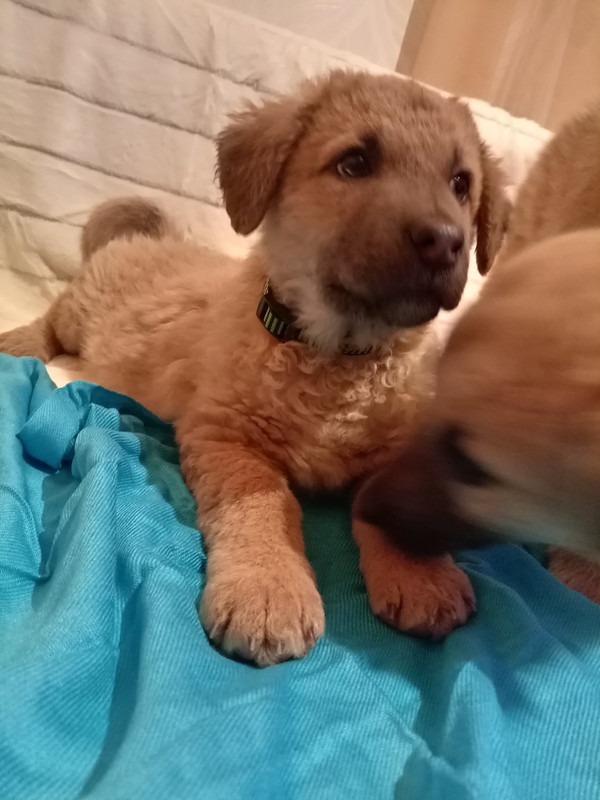 IMG-e8b4dd562e29ff4f4d930dd31a24735f-V