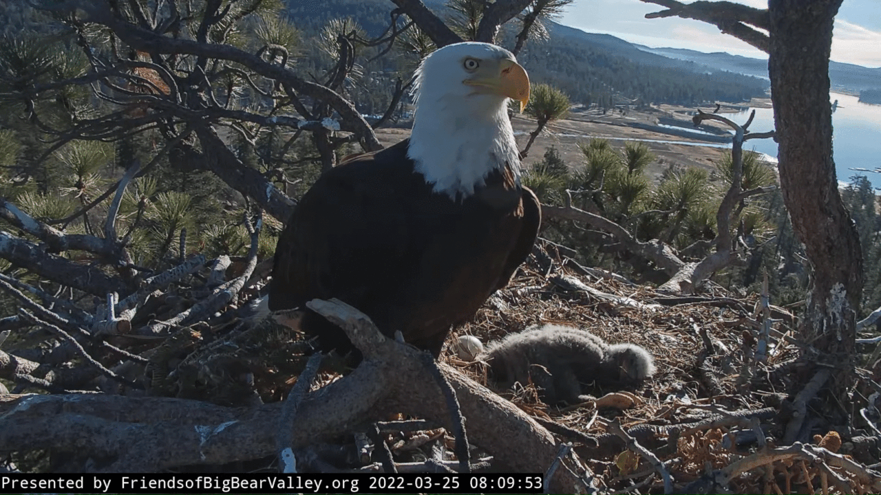 Webp.net-gifmaker (6)