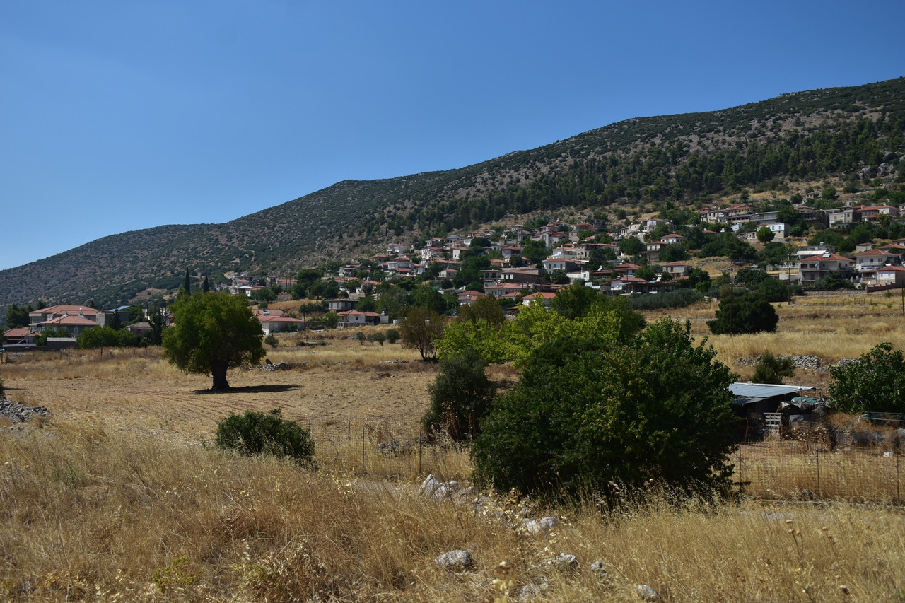 Αραχναίο (14)