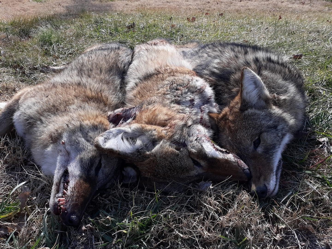 CFA71FD6-2B48-4AF4-B5B0-81B38BA38B3D