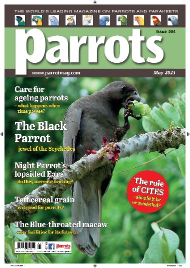 Parrots - May / 2023