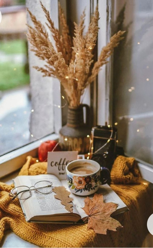 Screenshot_20221227_013056_Chrome