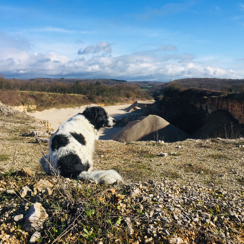 5E0D2FE7-C49D-4BB7-B2C0-A1C7D73DD2BF