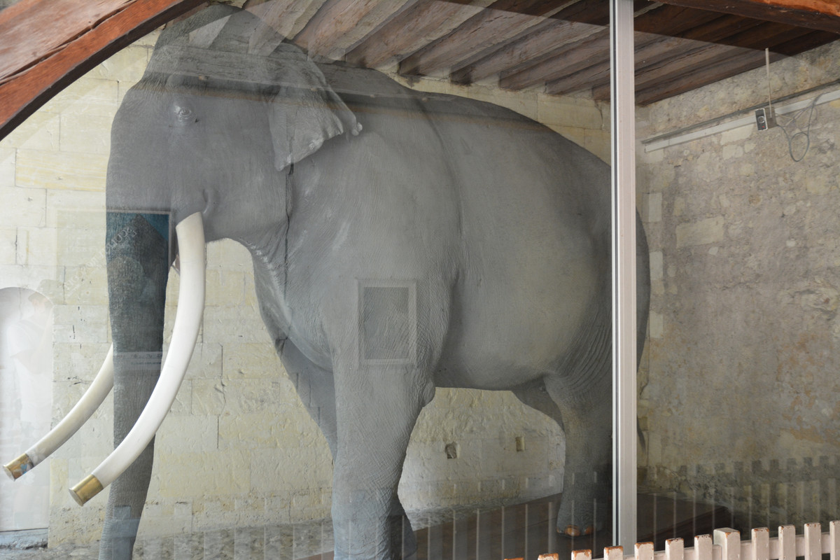 14.22 - DSC_8824 (Ater)