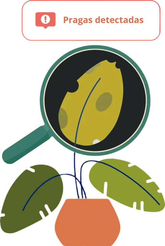 Feature illustration