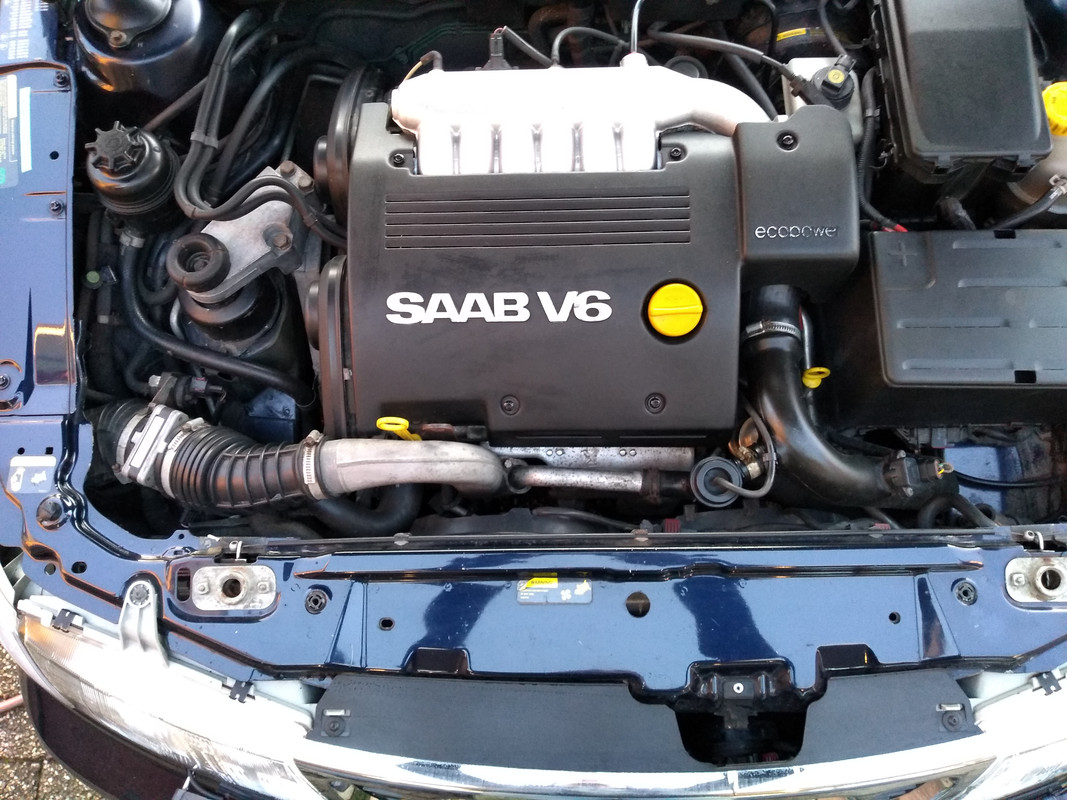 IMG_20220319_180841945