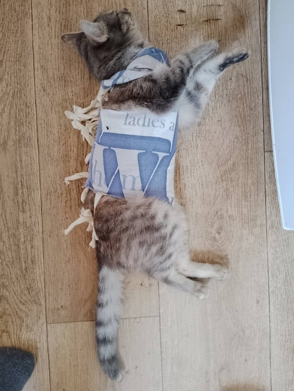 изображение_viber_2024-02-29_21-55-58-799