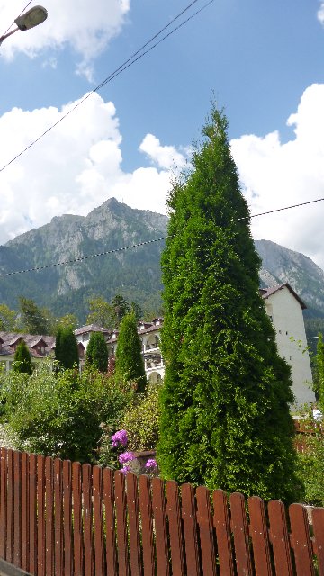 Încercările unui fotograf amator P1000294