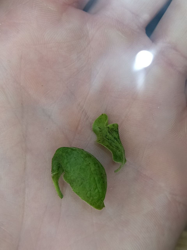 photo 2026 05 10 12 56 39