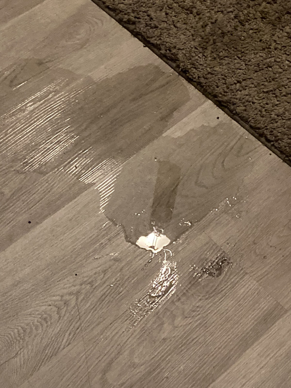 24037AE7-A336-41DE-A851-B47B9DB85787