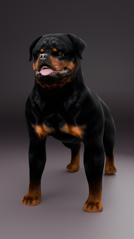 Rottweiler