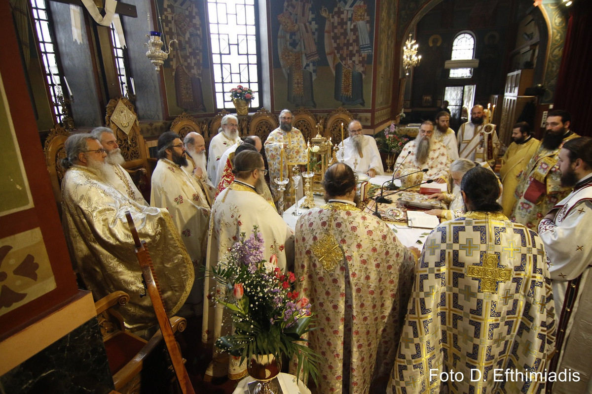 _7D20703 (Αντιγραφή)