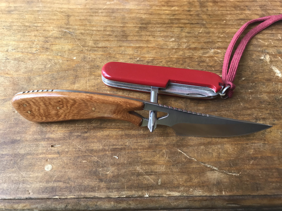 17172221-B0B4-4BD8-B67A-77B1C5D21283