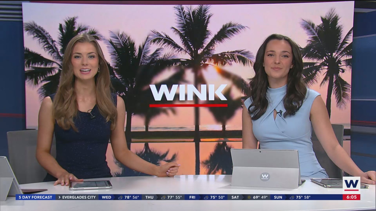 WINK News at 600am_20250101_11001130.ts_snapshot_06.34.084
