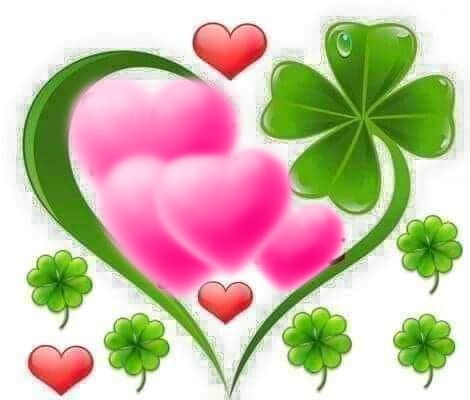 [Image: 13893-C86-CFA7-4431-8487-9-F9-F475-DFEF1.jpg]