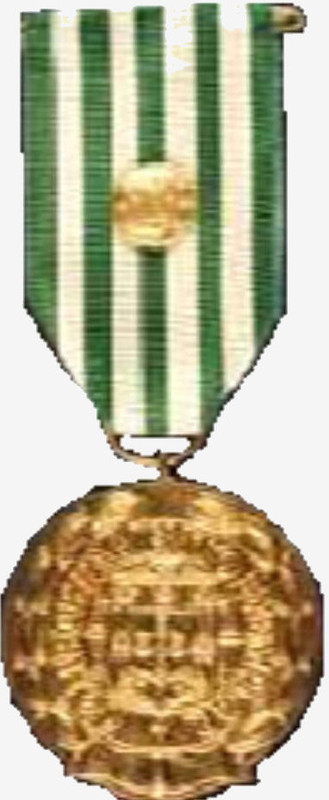 09-Medalhas-de-Ouro-de-Comportamento-Exemplar