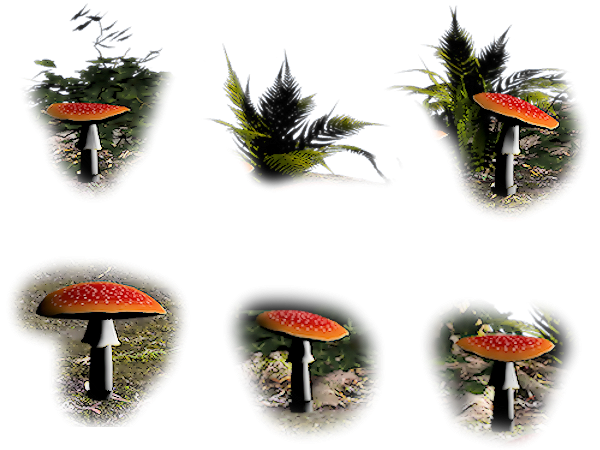 Siempre Libre & Glitters y Gifs Animados Nº345 Mushrooms02-Waldlichtelfe-co-uk